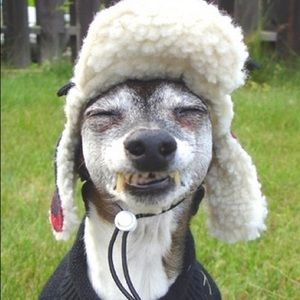 Meet your Posher, Marisa